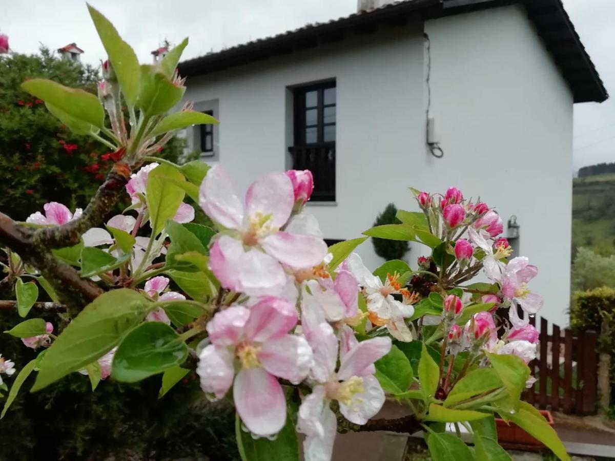 Maison d'hôtes El Oteru I à Villaviciosa  Extérieur photo