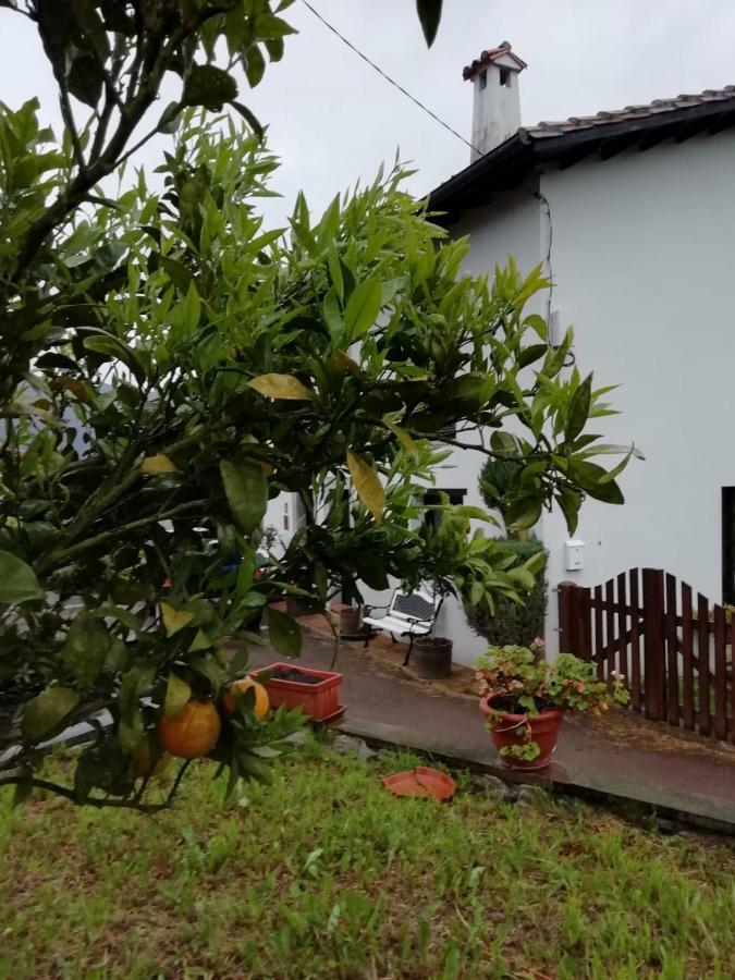 Maison d'hôtes El Oteru I à Villaviciosa  Extérieur photo