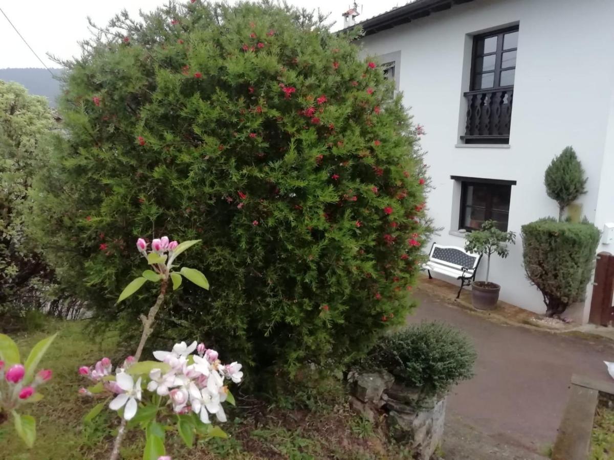 Maison d'hôtes El Oteru I à Villaviciosa  Extérieur photo