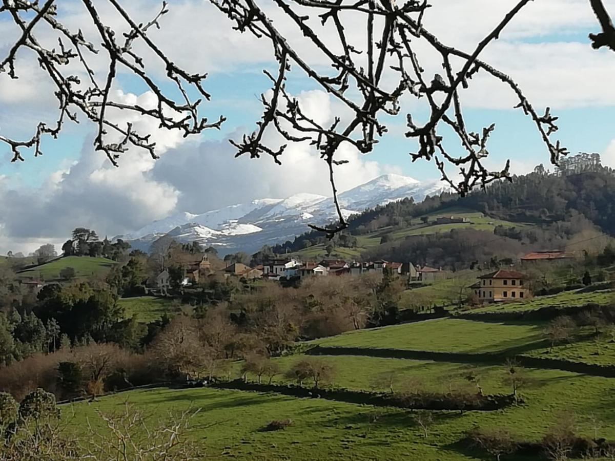 Maison d'hôtes El Oteru I à Villaviciosa  Extérieur photo